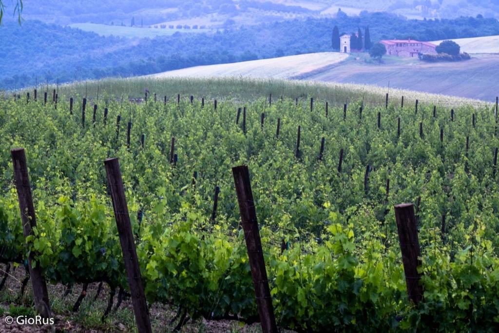 Agriturismo La Buca Di Bellugi San Quirico dʼOrcia Eksteriør bilde