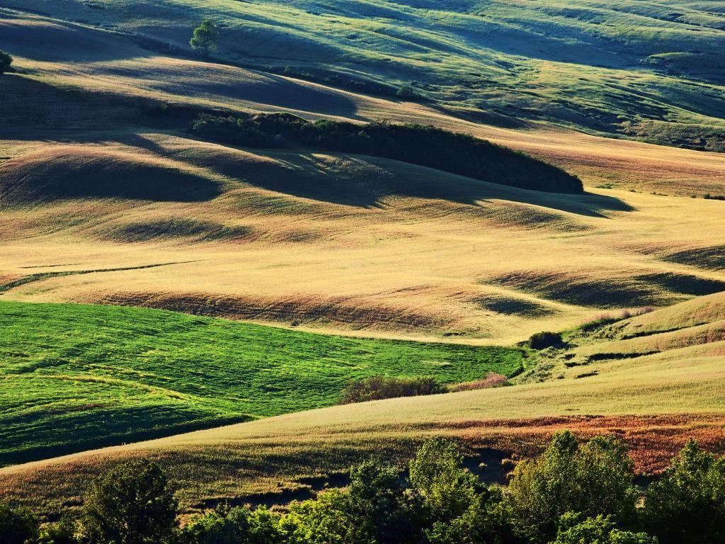 Agriturismo La Buca Di Bellugi San Quirico dʼOrcia Eksteriør bilde