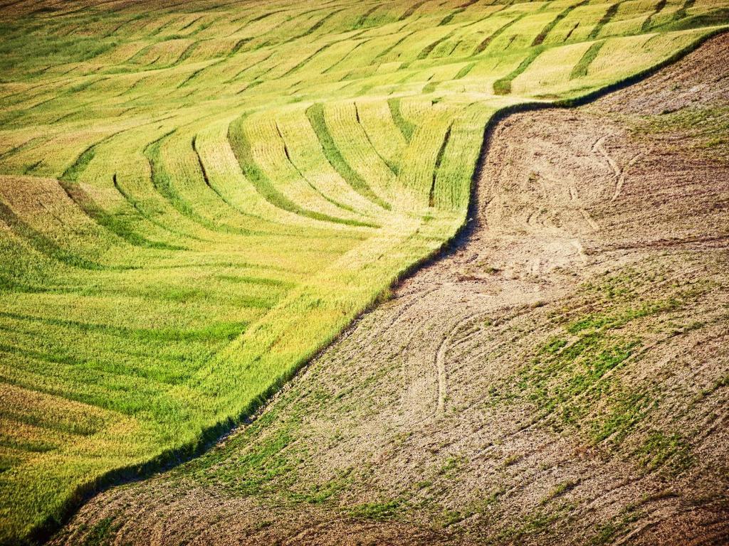 Agriturismo La Buca Di Bellugi San Quirico dʼOrcia Eksteriør bilde