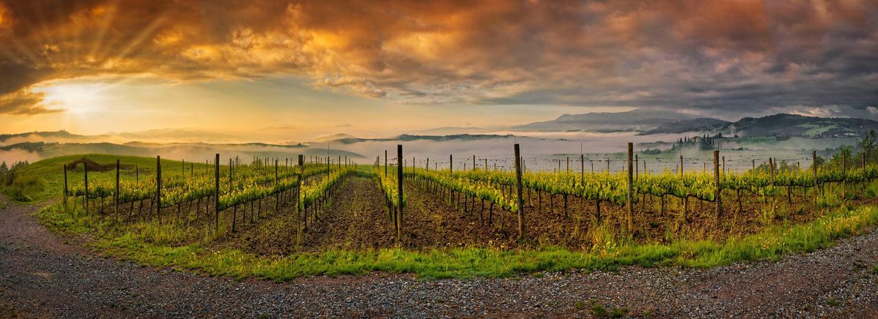 Agriturismo La Buca Di Bellugi San Quirico dʼOrcia Eksteriør bilde