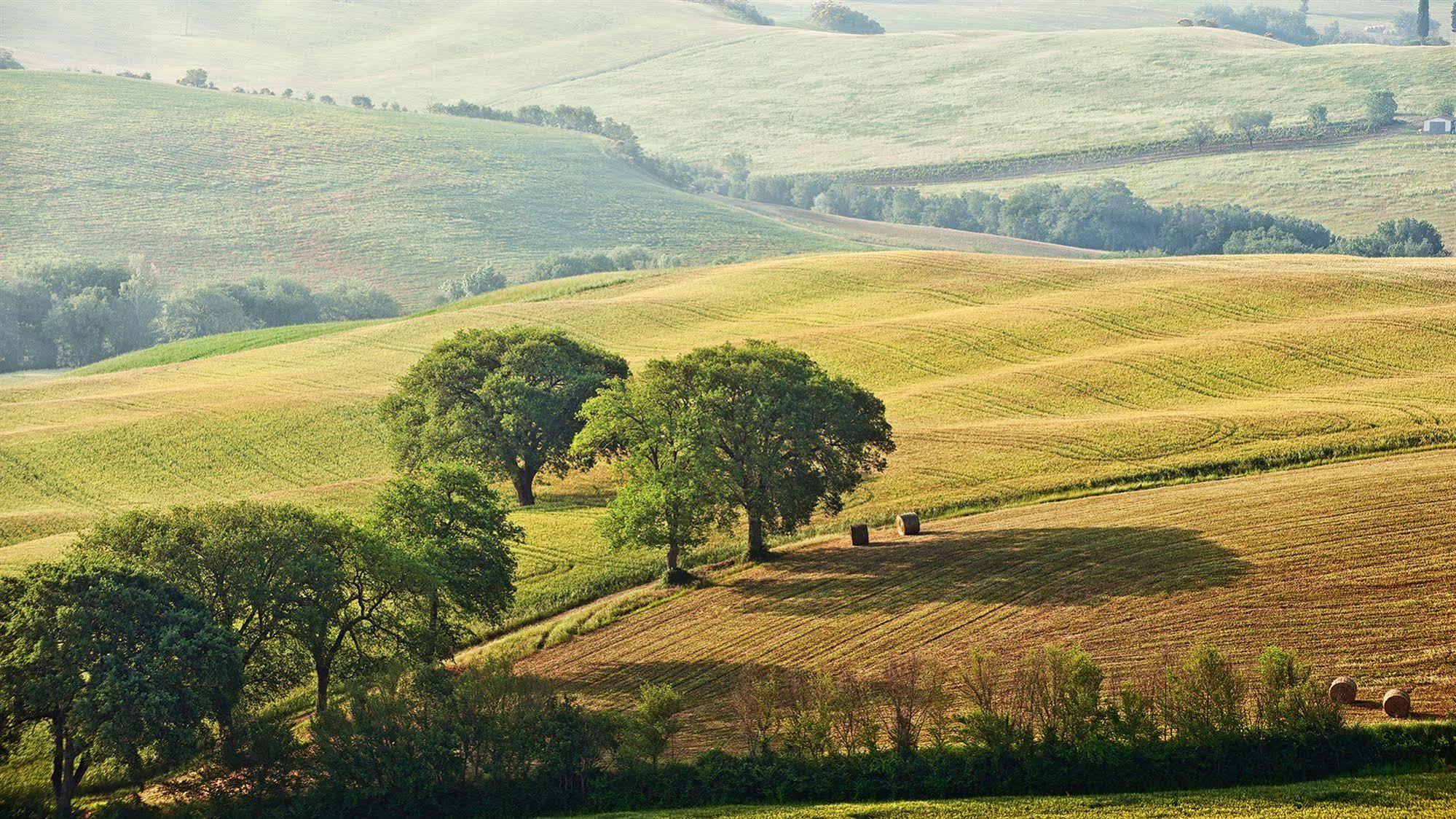 Agriturismo La Buca Di Bellugi San Quirico dʼOrcia Eksteriør bilde