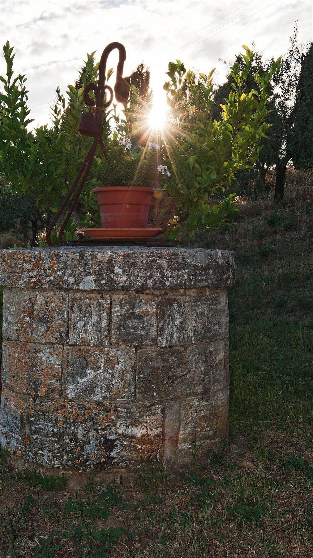 Agriturismo La Buca Di Bellugi San Quirico dʼOrcia Eksteriør bilde
